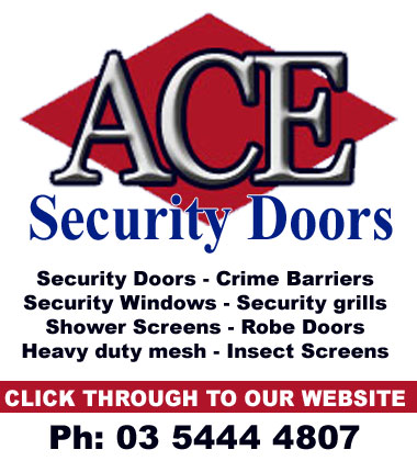 Ace Security Doors